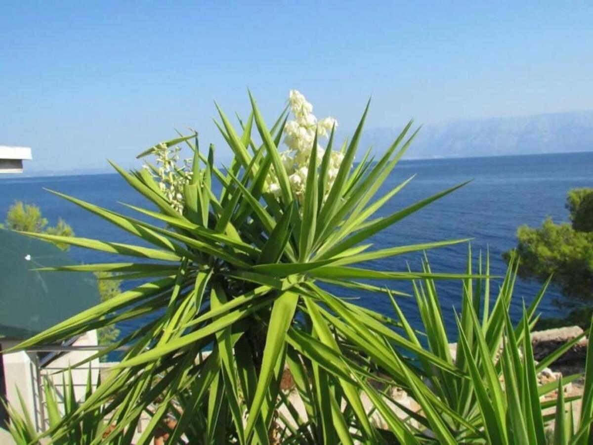 Holiday House Jakov Gdinj Esterno foto