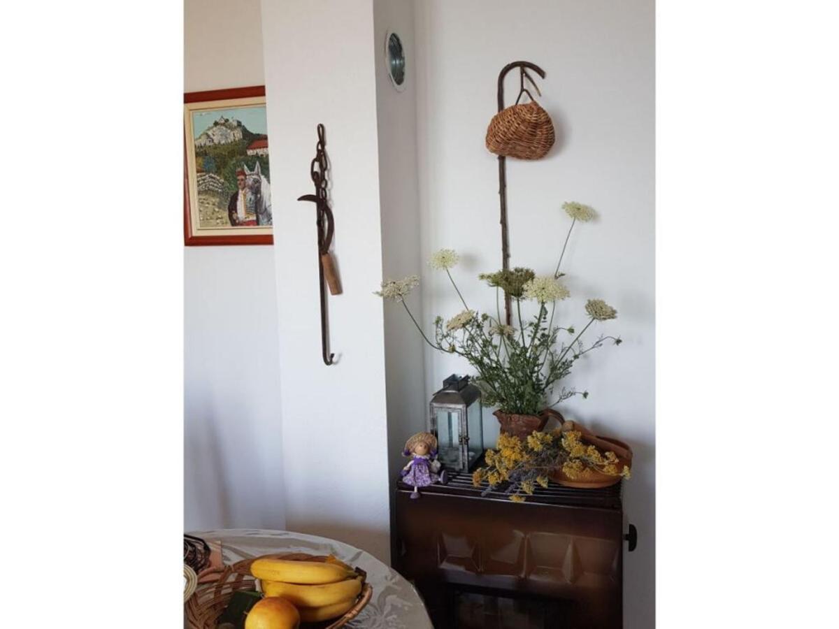 Holiday House Jakov Gdinj Esterno foto