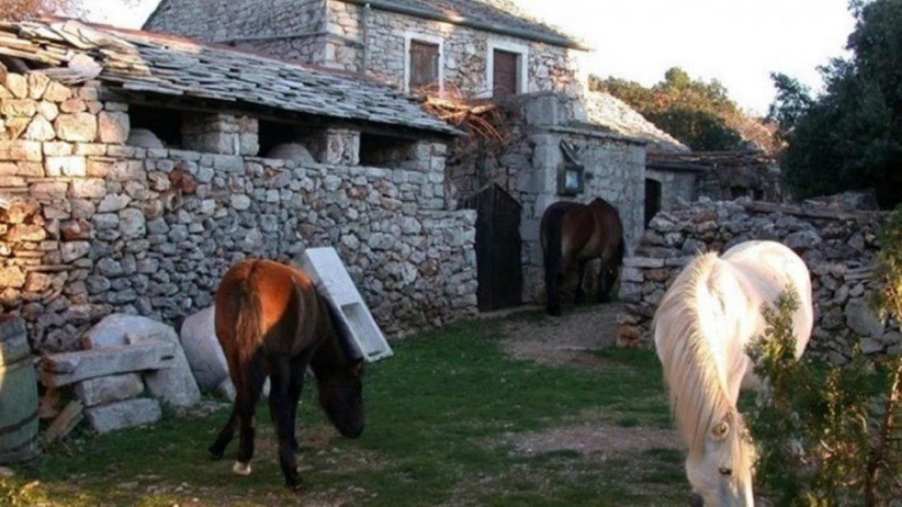 Holiday House Jakov Gdinj Esterno foto